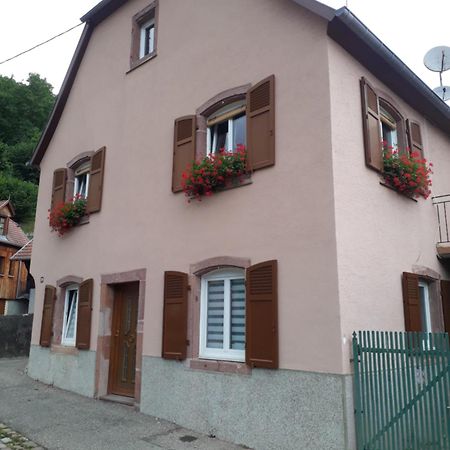 Cheznousenalsace Apartment Lautenbach Exterior photo